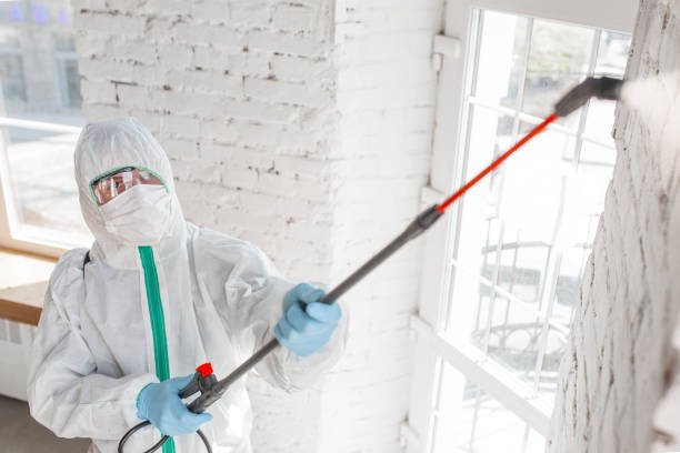 Best Residential Mold Inspection & Testing  in Enterprise, OR