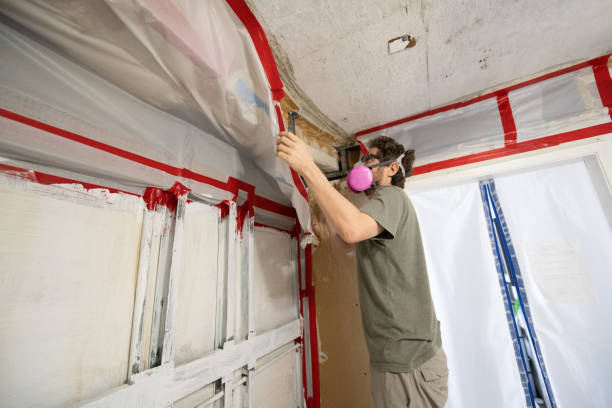 Best Attic Mold Removal  in Enterprise, OR