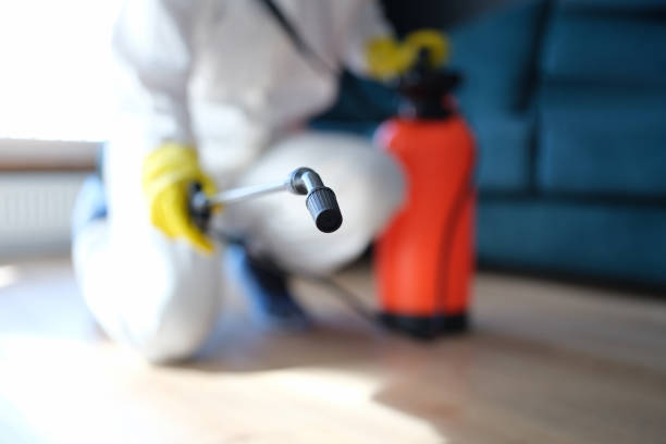 Environmental Consulting for Mold Prevention in Enterprise, OR